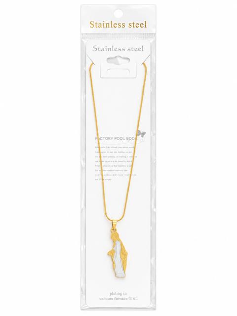 40021 Two-Tone Stainless Steel Virgin Mary Pendant Necklace CNB